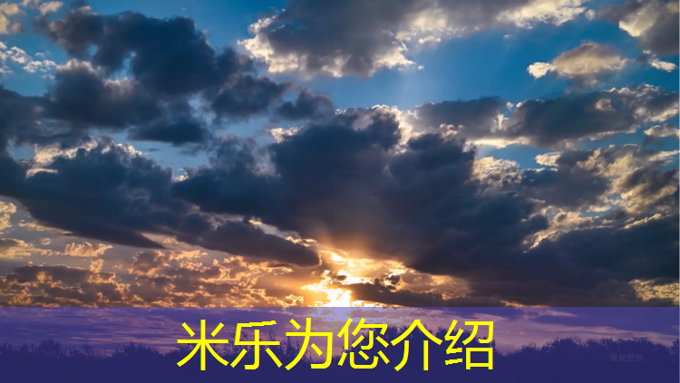 <strong>米乐为您介绍：张掖透气性塑胶跑道</strong>