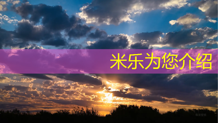 <strong>米乐为您介绍：黑河塑胶跑道地坪</strong>