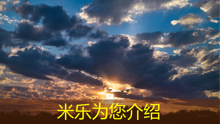 <strong>米乐m6官网登录入口：平遥室内50米塑胶跑道</strong>